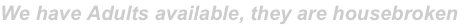 shapeimage_3_link_0