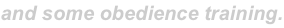 shapeimage_3_link_1